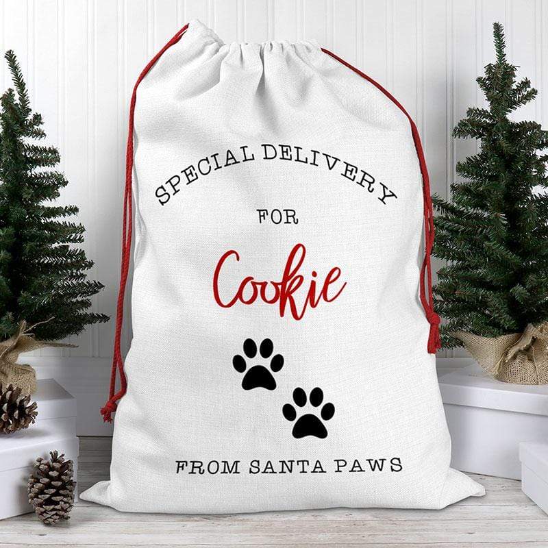 Special Delivery From Santa Paws Personalised Santa Sack